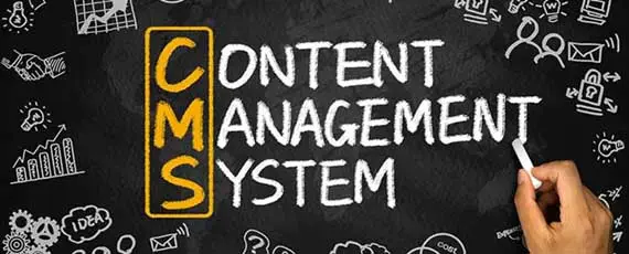 Content Management System (CMS) Websites