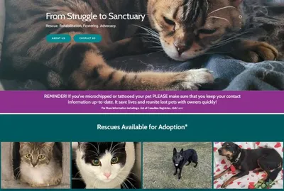 Pets in Need Alberta Animal Rescue, Animal Foster - Web Design by Alchemy Imageworks