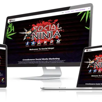 Social Ninja Responsive Website Design